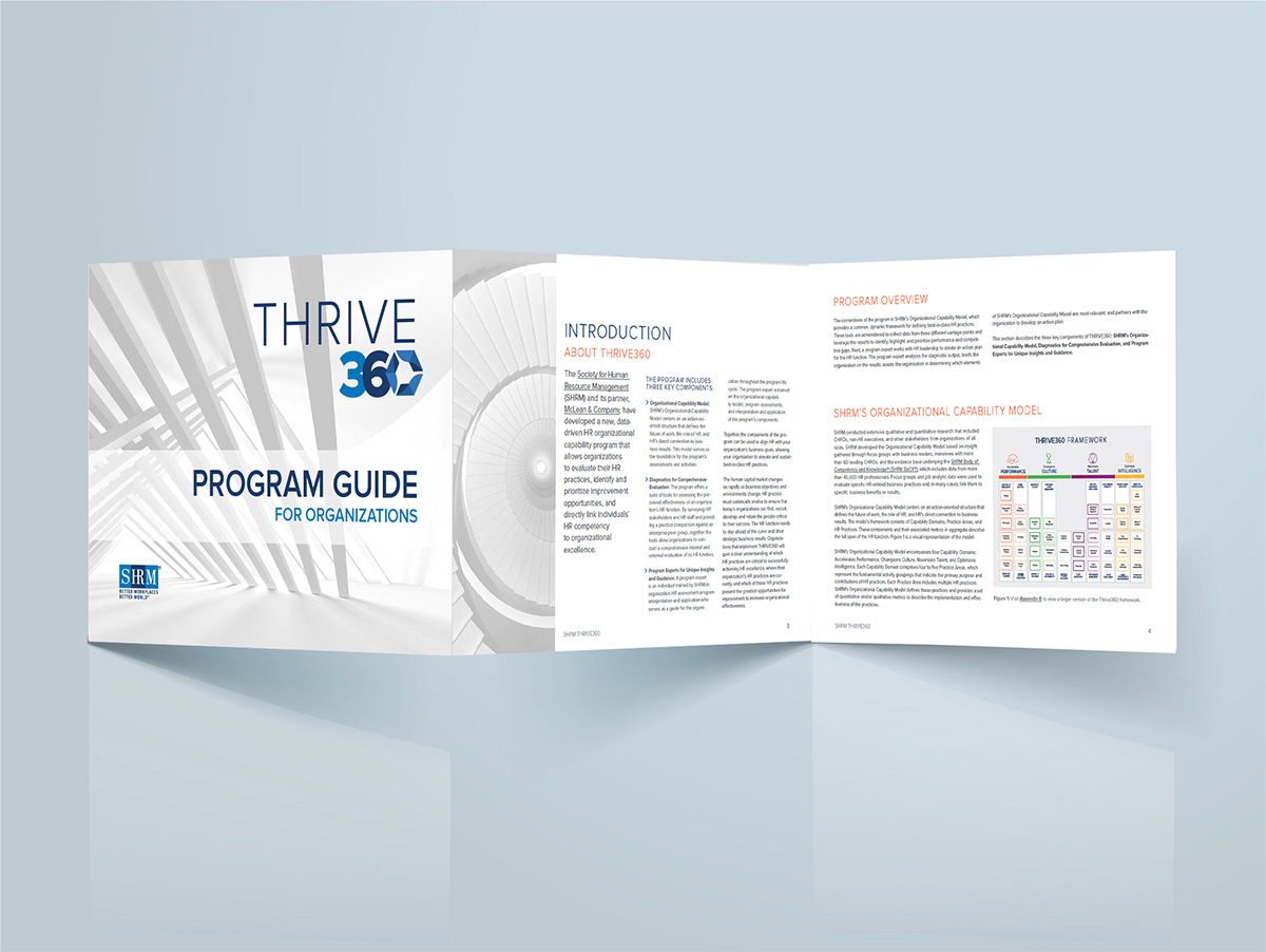 Thrive 360 Marketing Brochure